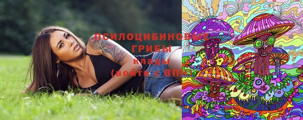 ALPHA PVP Арсеньев