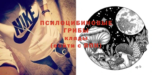 СК Аркадак