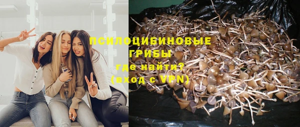 ALPHA PVP Арсеньев
